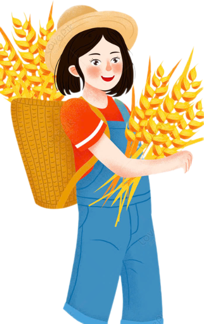 ảnh halongeco